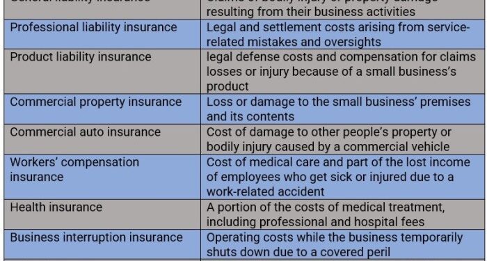 Everything you need to know about insurance for small businesses ...