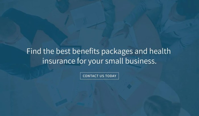 Small Business Health Insurance FAQs | Paradigm Consulting