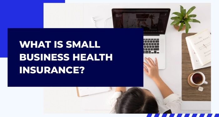 What is Small Biz Health Insurance? | Association Health Plans